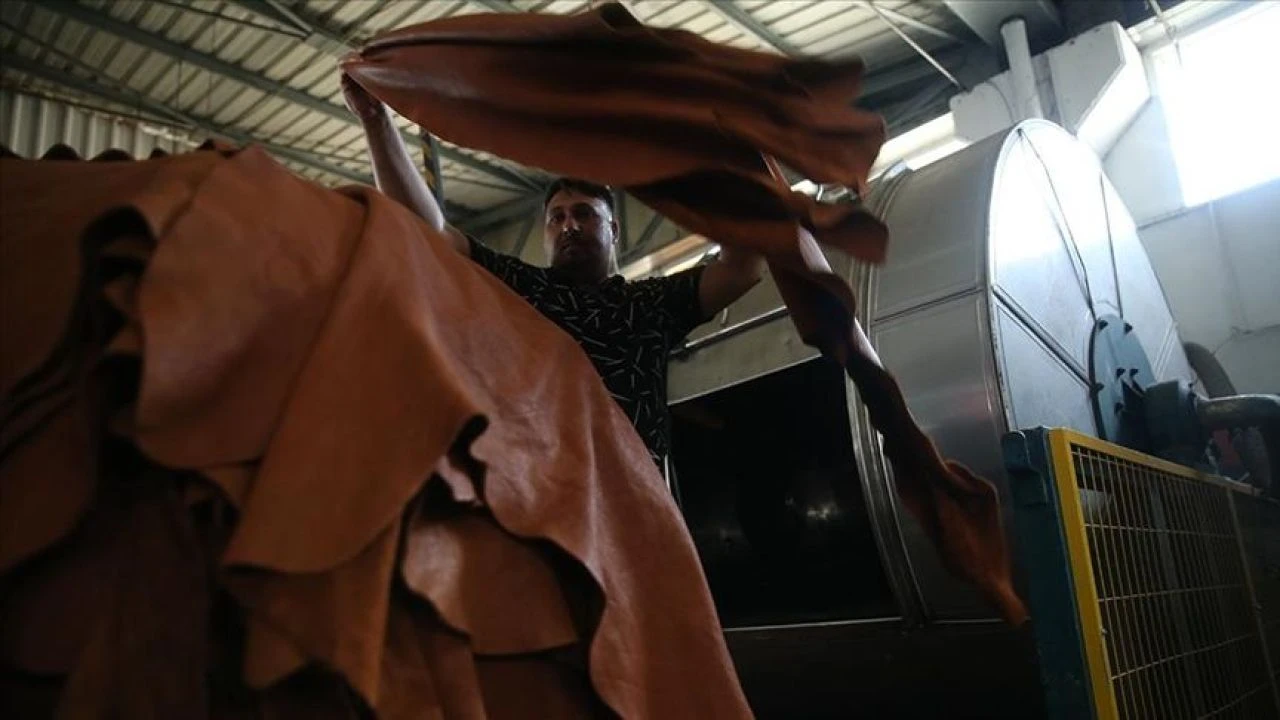 Kurban derisini çöpe atanlar kafalarını duvara vuracak! Tek bir deri size servet kazandırıyor