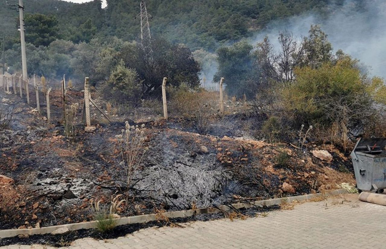 Türkiye'nin 4 ilinde orman yangını: Tüm birimler harekete geçti, Haneler boşaltıldı - 2. Resim