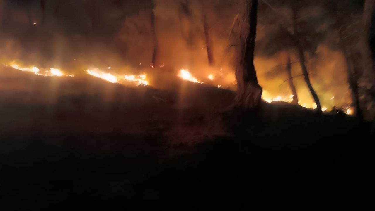 Bakan Yumaklı'dan 2024 orman yangınları açıklaması! İHA'larla büyük başarı yakalandı - 1. Resim