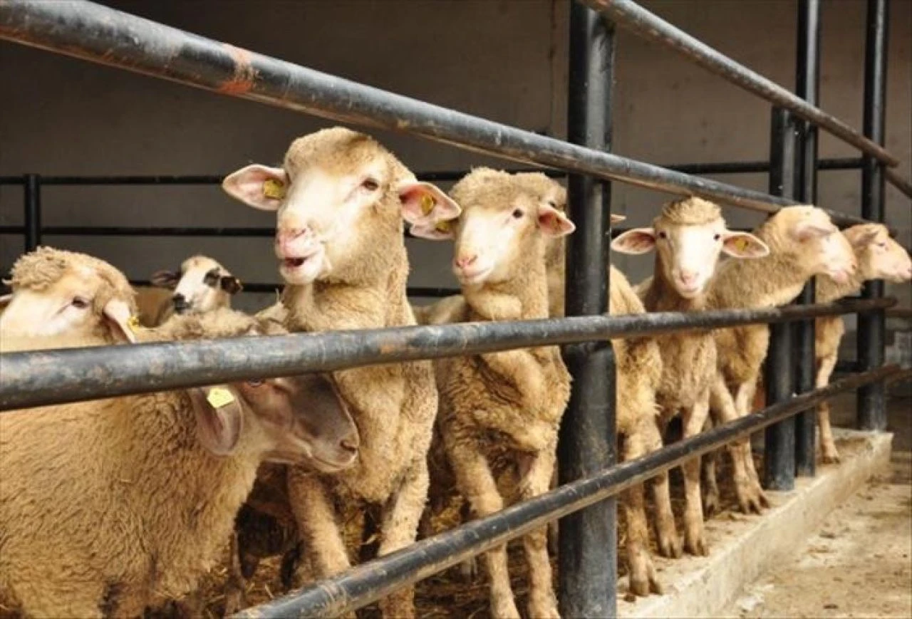 Kurban Bayramı bayram namazı Kayseri Yeşilhisar’da 05.54’de, Sarıoğlan ilçesinde 05.49’da kılınacak