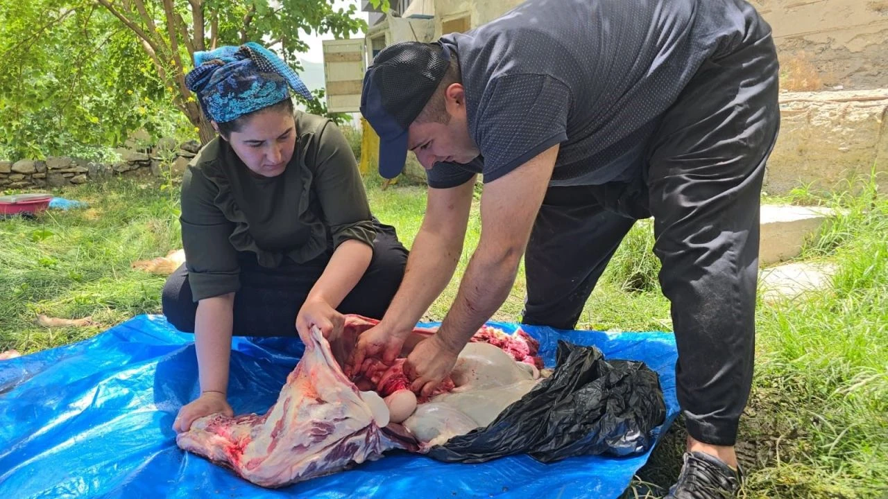 Hakkarili 3 çocuk annesi kadın 40 yıllık kasaplara taş çıkardı! Kurbanın sinirlerini aldı