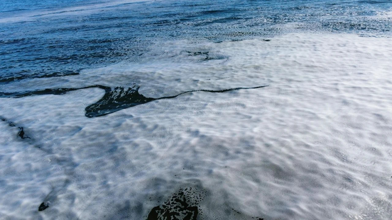 Karadeniz'de görülen köpük görünümlü tabaka ürküttü