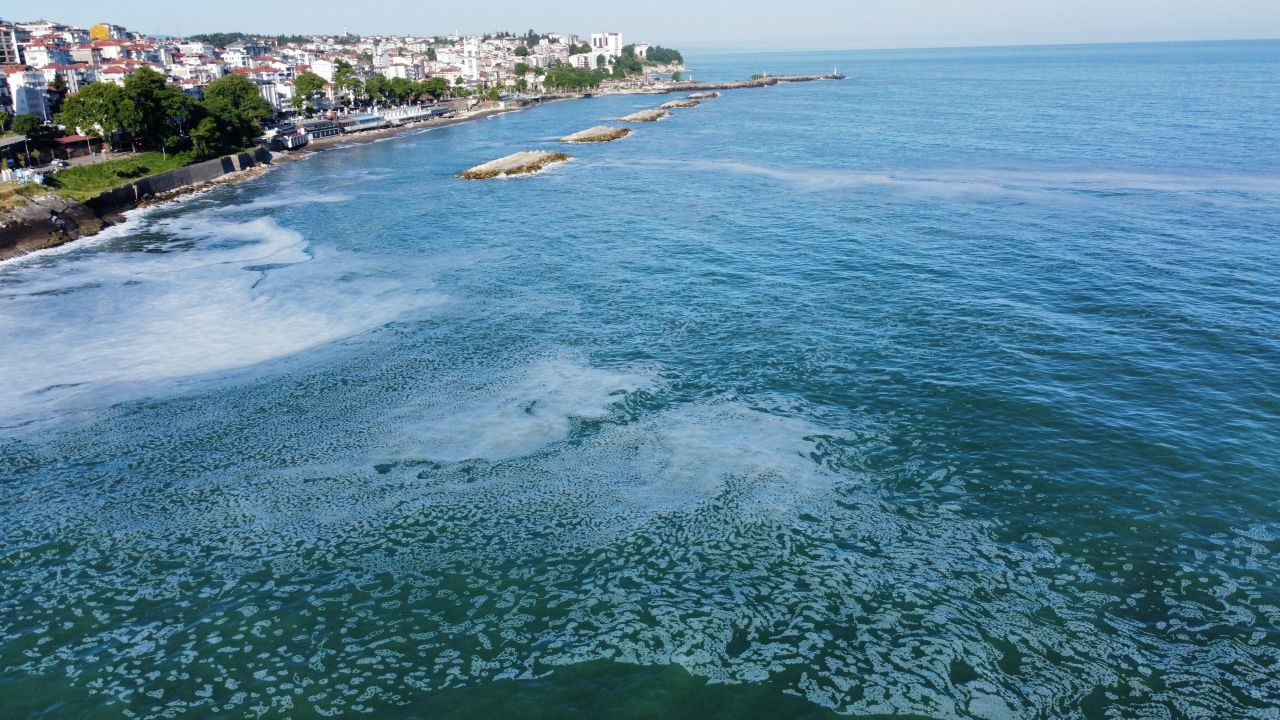 Karadeniz'de görülen köpük görünümlü tabaka ürküttü - 2. Resim