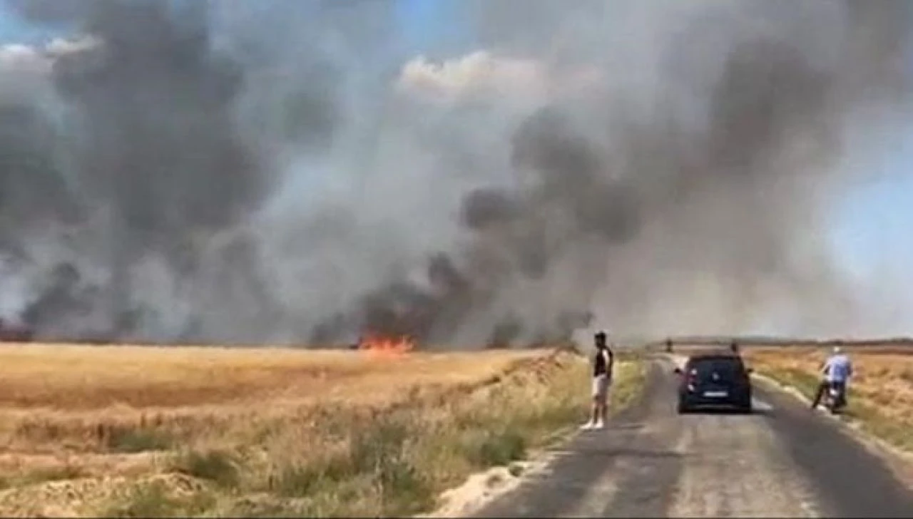 Sigara izmaritinden çıkan yangında 38 ton buğday kül oldu - 1. Resim