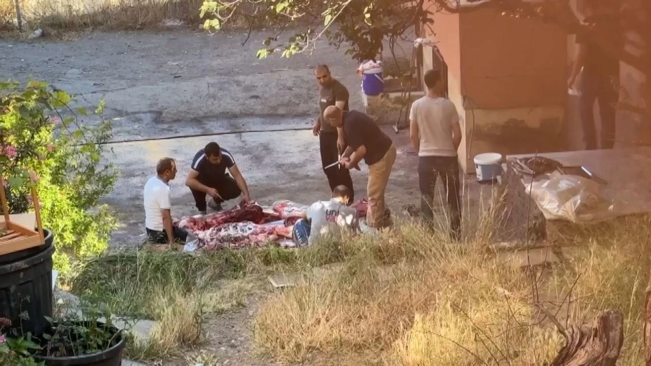 Sokak aralarında hijyenden uzak kurban kesimi! Her yıl aynı manzara - 1. Resim