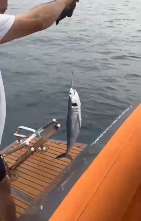 Balık tutarken hayatının şokunu yaşadı! Oltaya 70 santimlik köpek balığı geldi - 1. Resim