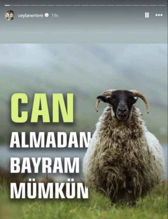Ceylan Ertem'in 'kurban ibadeti' yorumu tepkilere neden oldu - 1. Resim