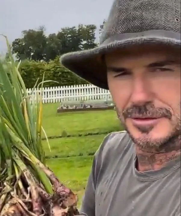 Eski futbolcu David Beckham milyonluk malikanesinin bahçesinda soğan yetiştiriyor! - 2. Resim