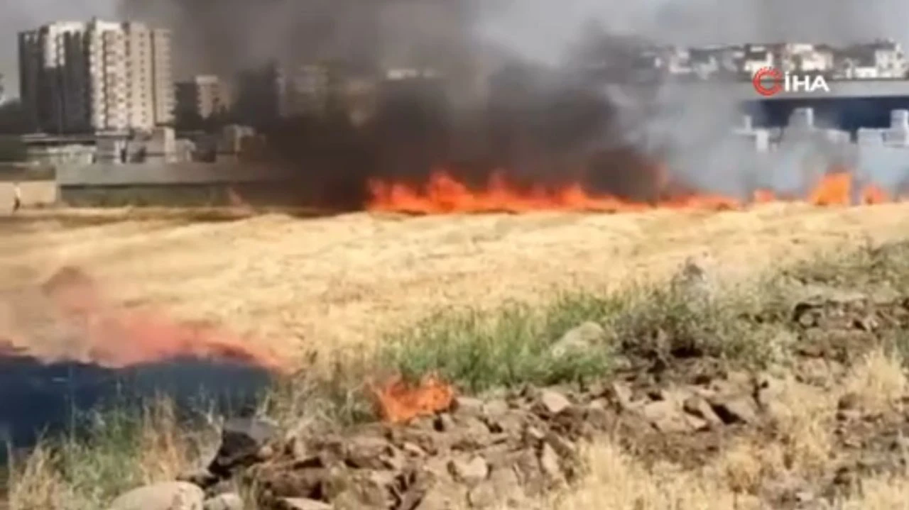 Şanlıurfa'da çıkan yangında 200 ton saman kül oldu  - 1. Resim