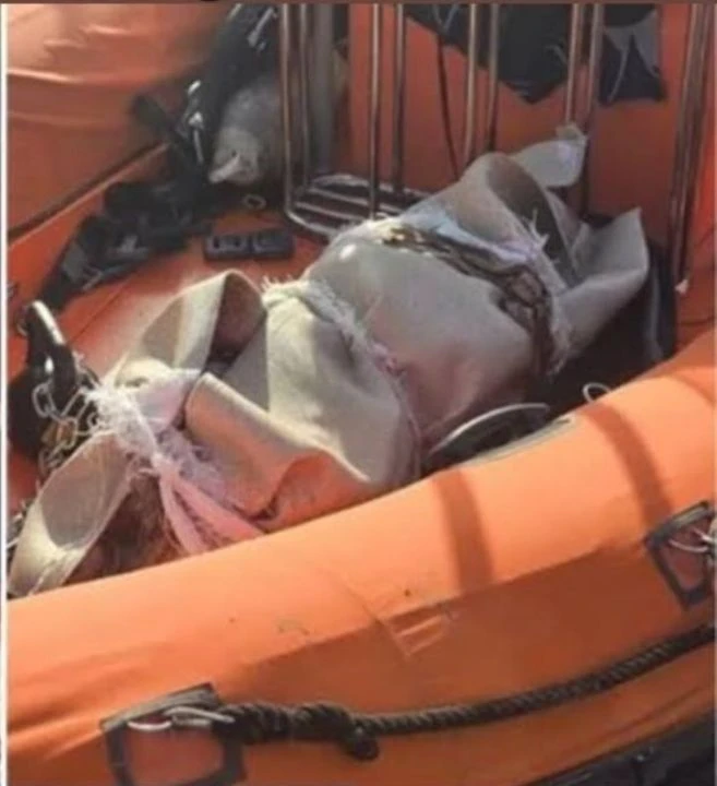 Sedef Güler cinayetinde şüpheli katil adliyeye götürüldü! Halıya sarılı halde bulunmuştu - 2. Resim