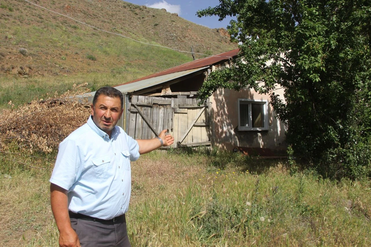 Üretici tüm imkanları önüne seriyor: Kalacak ev, 50 bin lira maaş! Hiçbir yerde çoban bulunamıyor