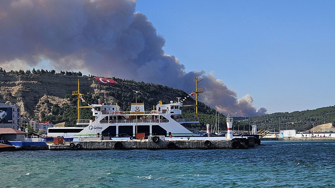 Çanakkale'de orman yangını! Gemi trafiği askıya alındı - 2. Resim