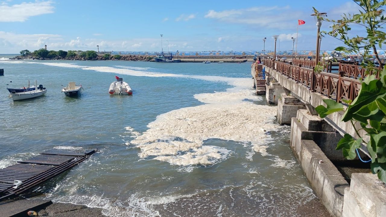 Karadeniz'de ürküten görüntünün sebebi ortaya çıktı - 1. Resim