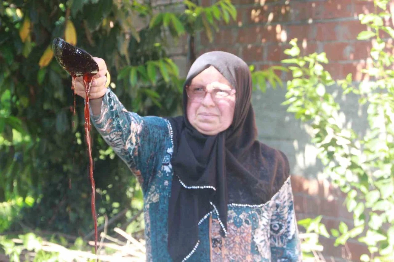 Ordulu kadınlardan dut pekmezi tarifi! Aşama aşama anlattılar