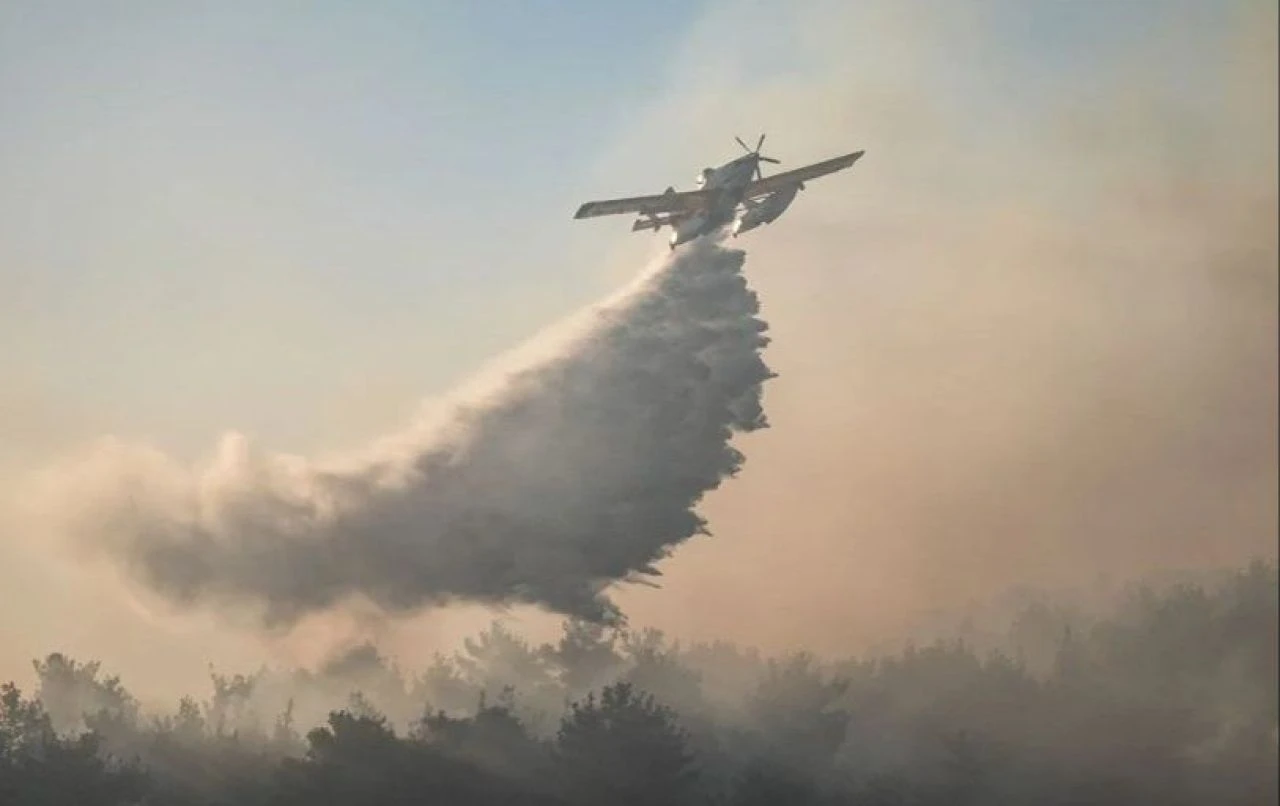 Çanakkale'de orman yangını! Bakanlık açıkladı: Boğazda gemi trafiği tek yönlü sağlanıyor - 3. Resim