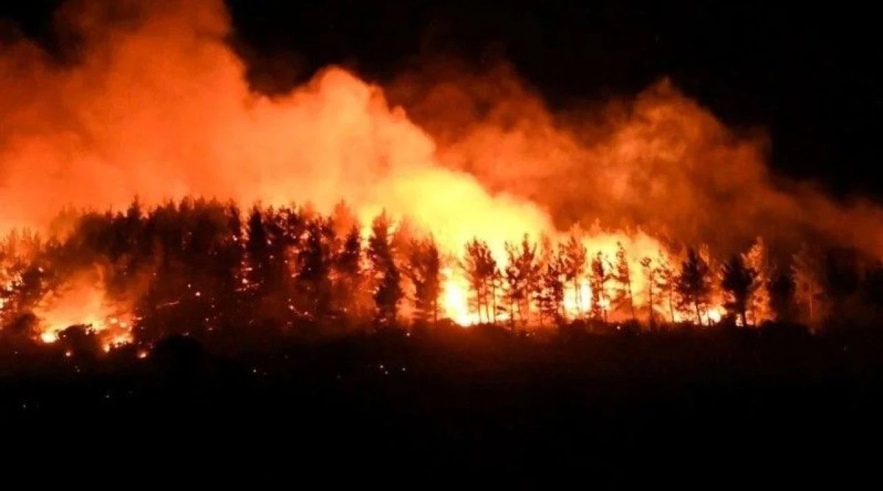 Çanakkale'de orman yangını! Bakanlık açıkladı: Boğazda gemi trafiği tek yönlü sağlanıyor - 2. Resim