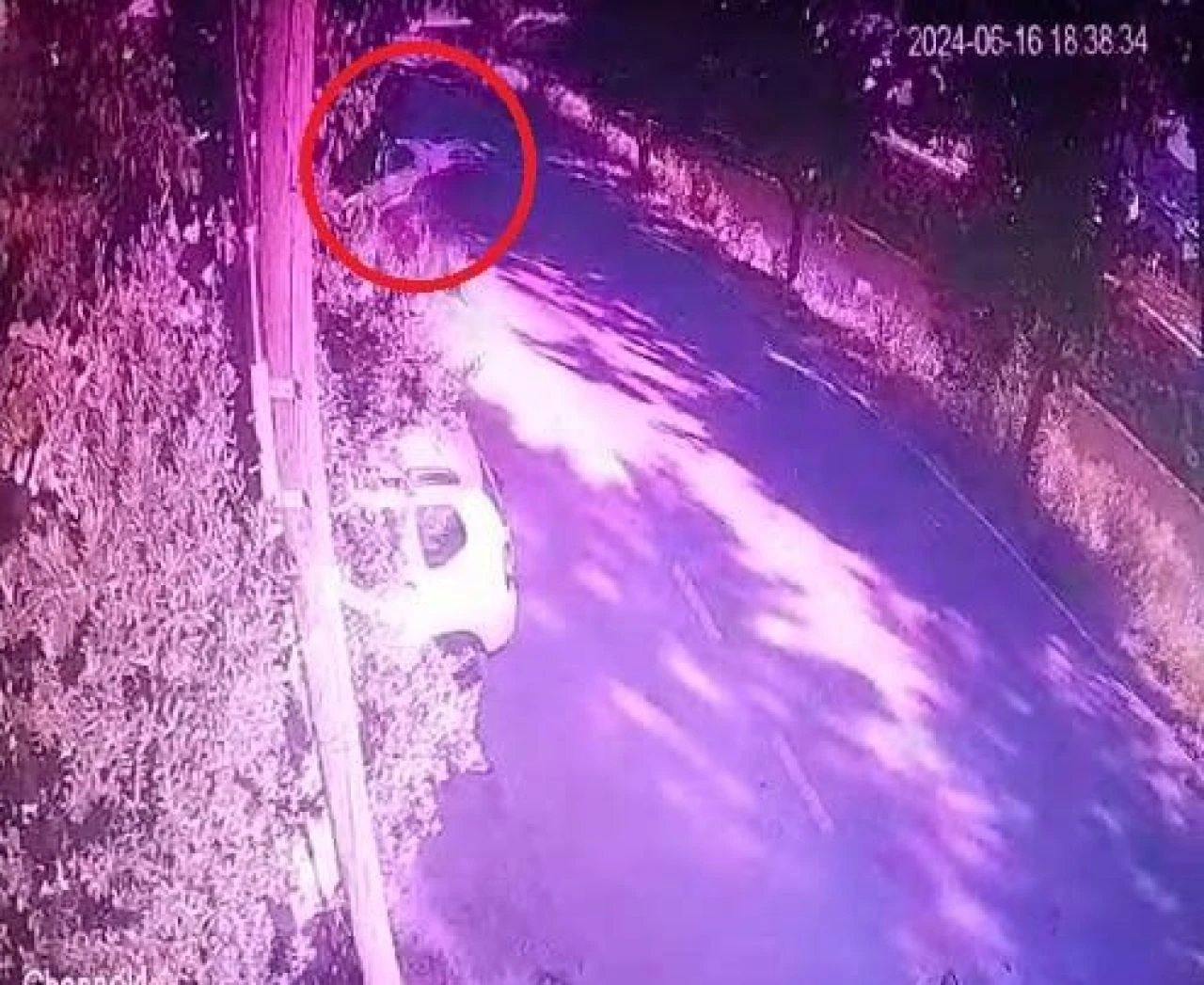 Ehliyetsiz sürücü dereye böyle uçtu! O anlar kamerada... - 2. Resim