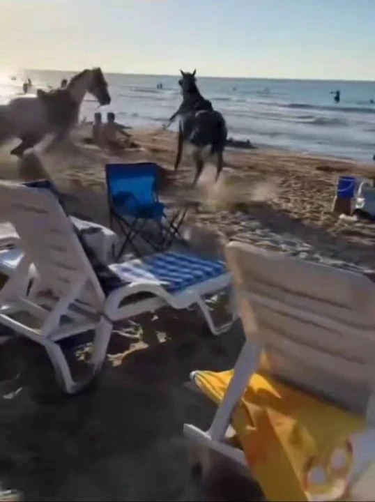 Şile plajında dehşet! Atlar yüzlerce insanın arasına daldı - 1. Resim