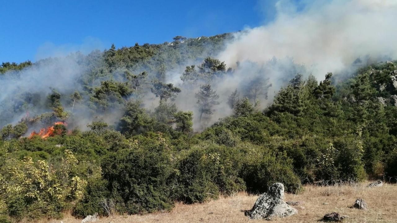 Soma&#039;da orman yangını çıktı! 8 uçak ve 2 helikopter havalandı