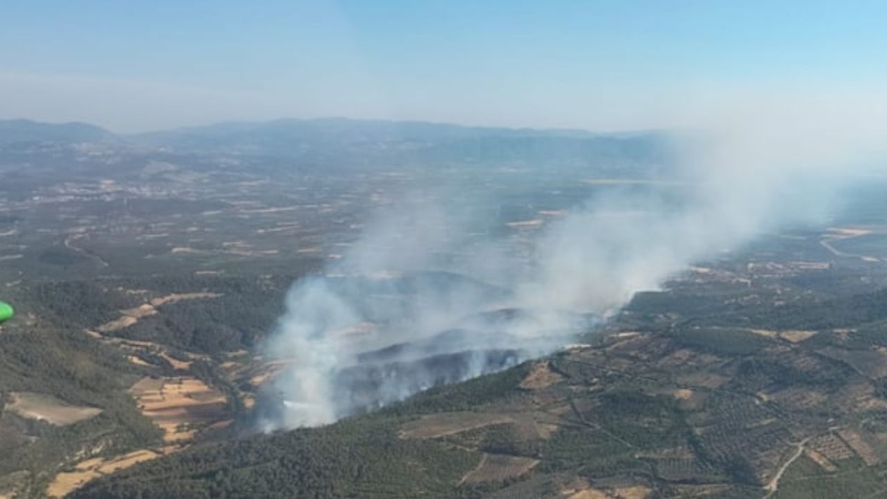 Bergama Ilgındere Mahallesi&#039;nde orman yangını çıktı, müdahale ediyor