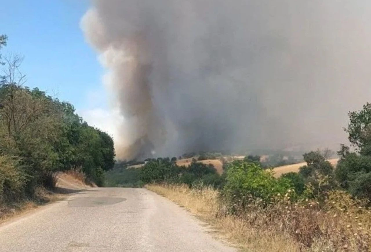 Elazığ ve Balıkesir'de orman yangını: Ekipler canla başla alevlere müdahale ediyor