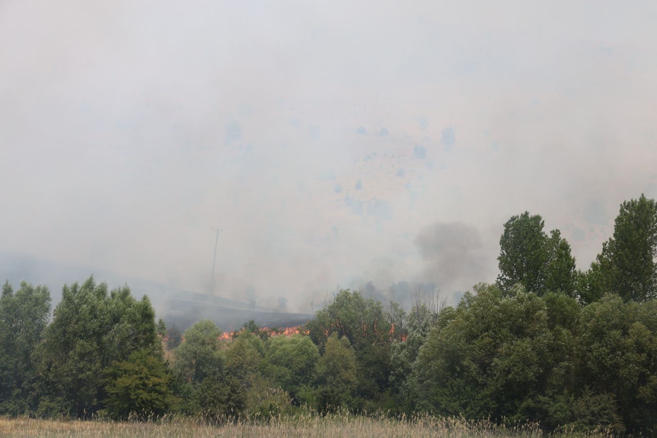 Çanakkale ve Elazığ'da orman yangını! - 4. Resim