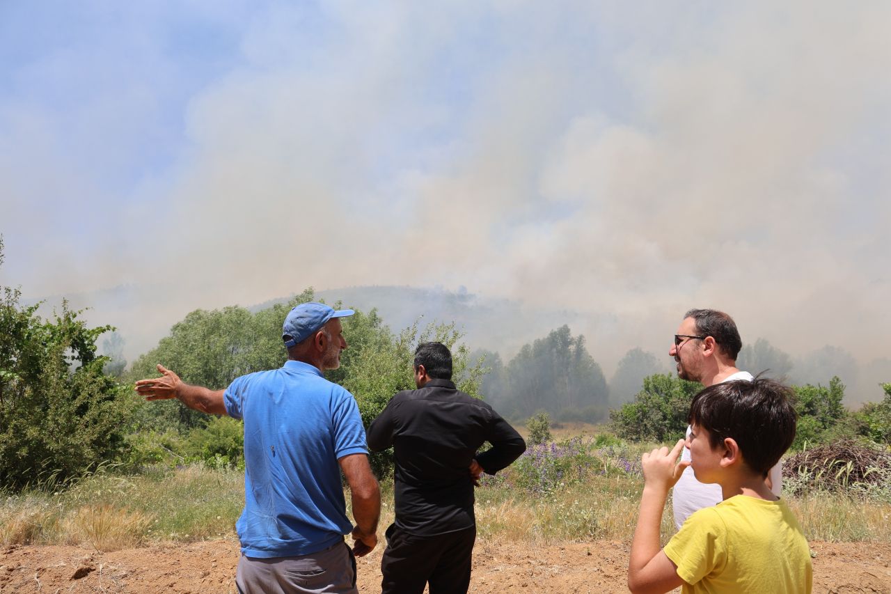 Çanakkale ve Elazığ'da orman yangını! - 3. Resim