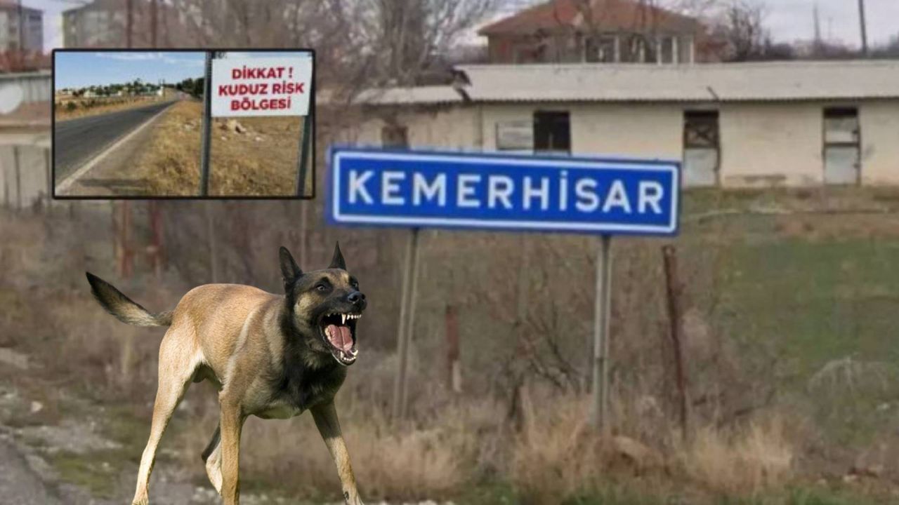 Niğde’de kuduz köpek karantinası! Başıboş hayvan bir kişiye saldırdı