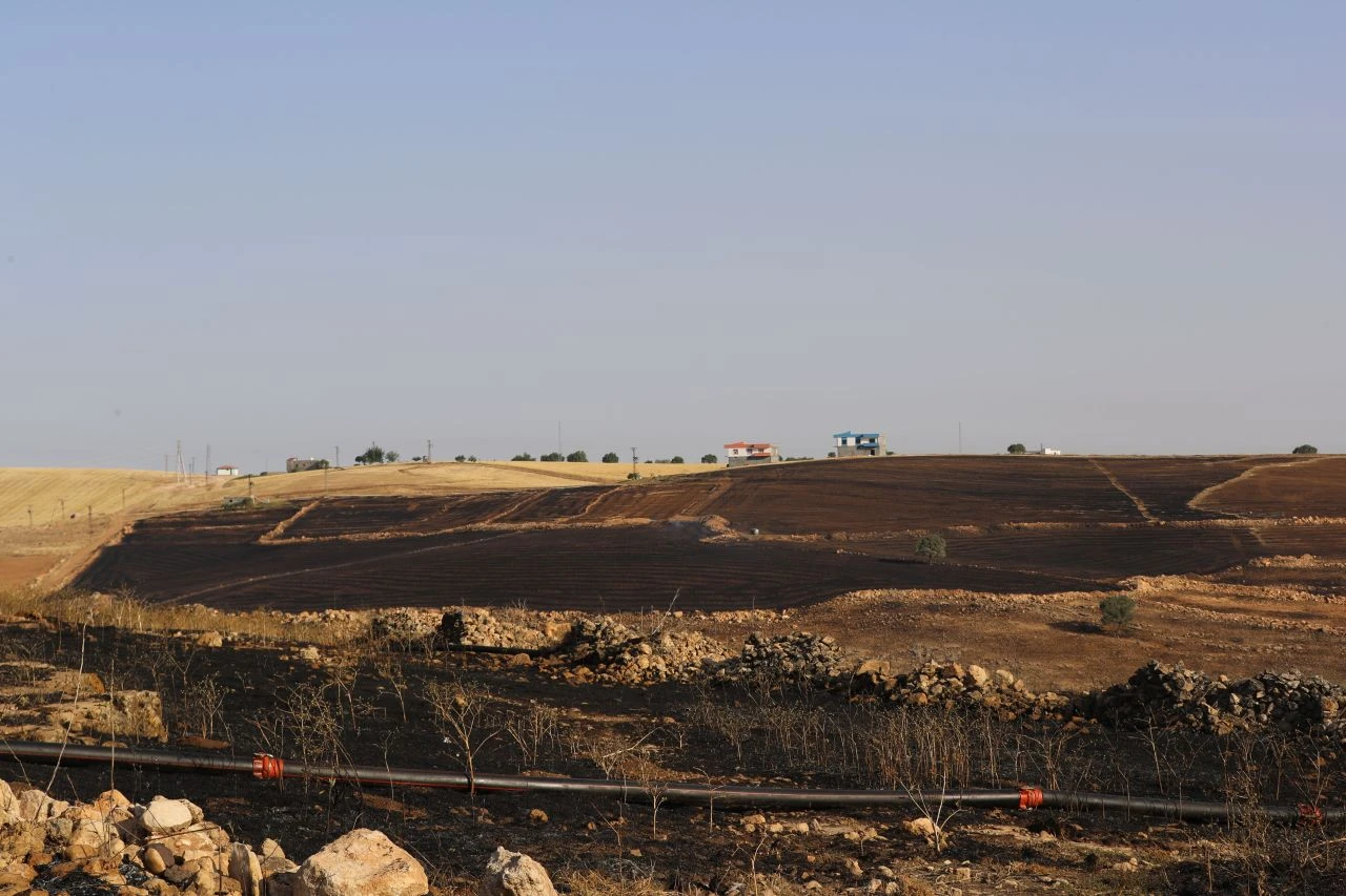 Anız yangınıyla ilgili yeni detaylar ortaya çıktı! Hayvanlarını kurtarmaya çalışırken hayatlarını kaybettiler - 2. Resim