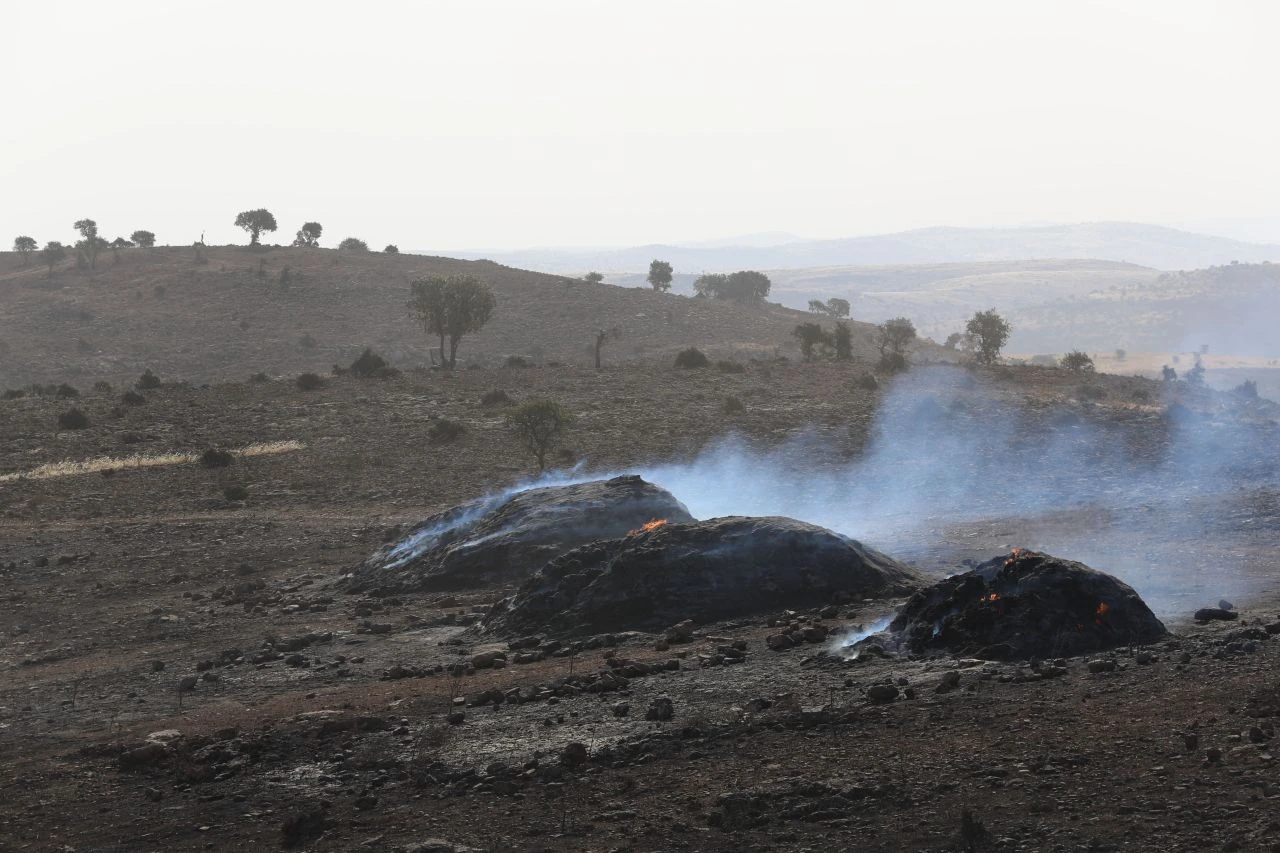 Anız yangınıyla ilgili yeni detaylar ortaya çıktı! Hayvanlarını kurtarmaya çalışırken hayatlarını kaybettiler - 1. Resim