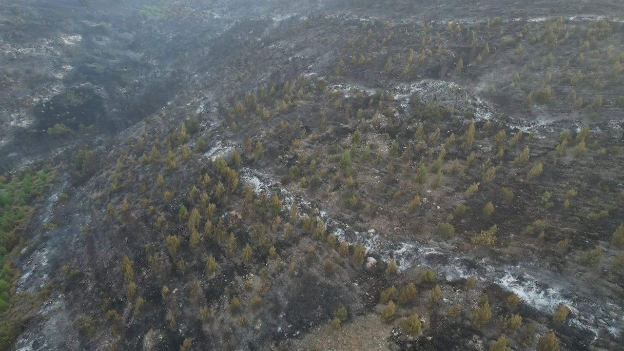 Bursa'da yangının hasar bıraktığı alan havadan görüntülendi - 1. Resim