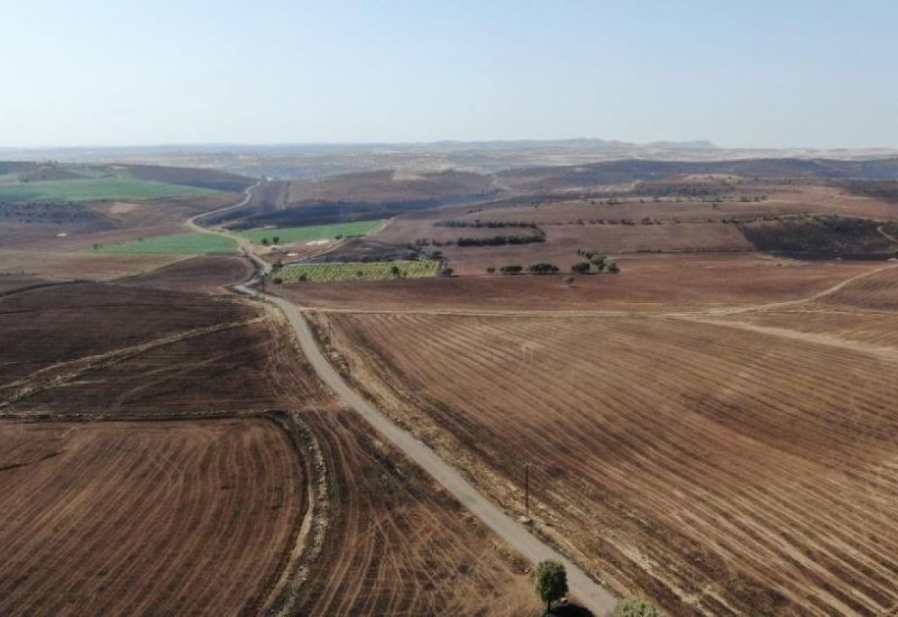 Sağlık Bakanı Koca Diyarbakır ve Mardin'deki acı bilançoyu açıkladı: 78 kişi etkilendi, 12 kişi öldü! - 1. Resim