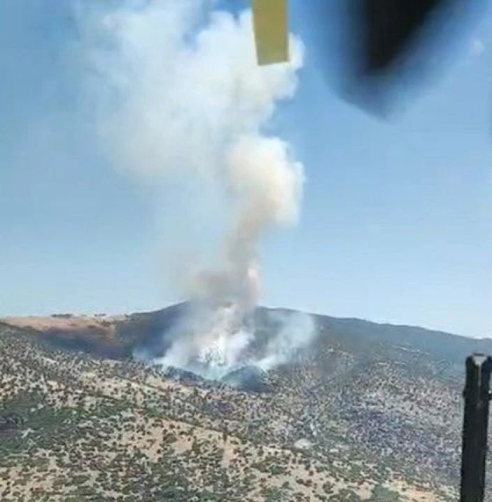 Salihli'de ormanlık alanda çıkan yangın kontrol altına alınmaya çalışılıyor - 1. Resim