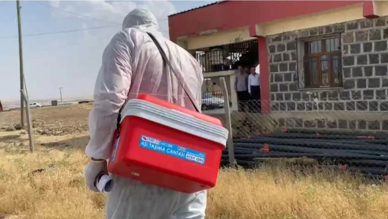 Şanlıurfa'da bir kuduz vakası daha! Vatandaş tepkili: Çocuklarımız okula gidemiyor