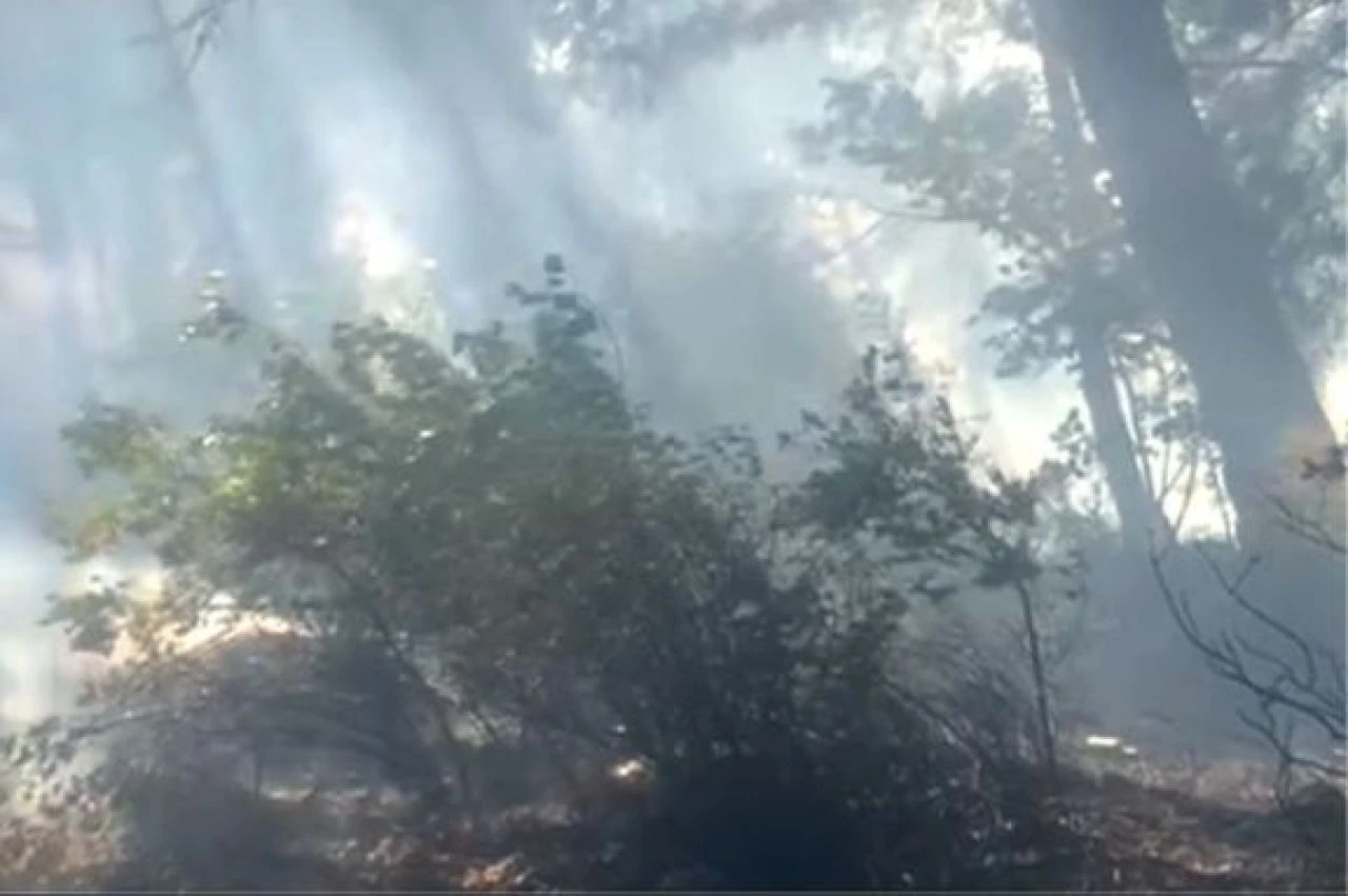 Savaştepe ilçesinde yangın çıktı, müdahale hala sürüyor