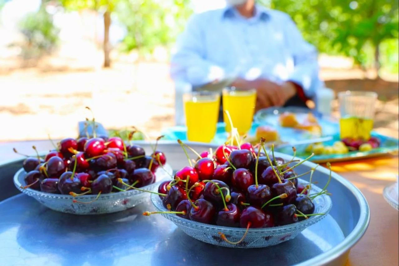Dalları bastı kiraz! Tadı bir başka güzel - 2. Resim