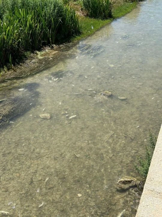Ölümler arttı, Sivas Valiliği alarma geçti! 15 gün boyunca yasaklandı