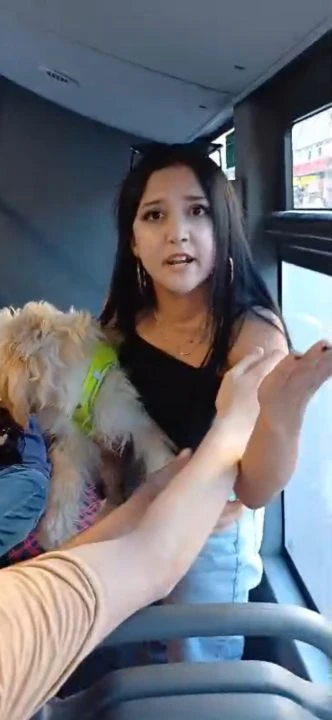 Otobüste köpek kavgası! Ağızlığı olmayan köpeği kucağında taşıdı
