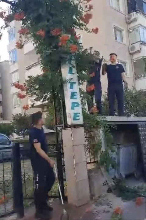 Sitede dev yılan paniği! Ekiplere ecel teri döktürdü - 1. Resim