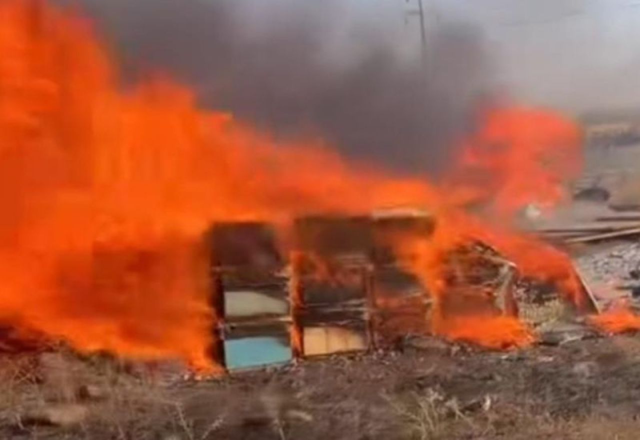 Siverek'te bal felaketi: Yüzlerce arı kovanı yanarak kül oldu! - 1. Resim