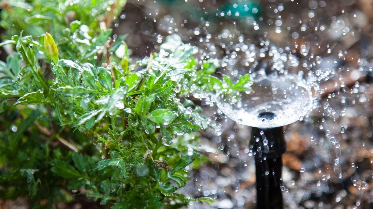 Tarım ve Orman Bakanlığı tarım verimliği için harekete geçti! Yapay zeka destekli sulama sistemi geliyor