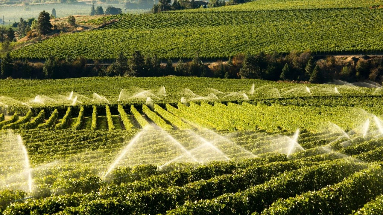 Tarım ve Orman Bakanlığı tarım verimliği için harekete geçti! Yapay zeka destekli sulama sistemi geliyor