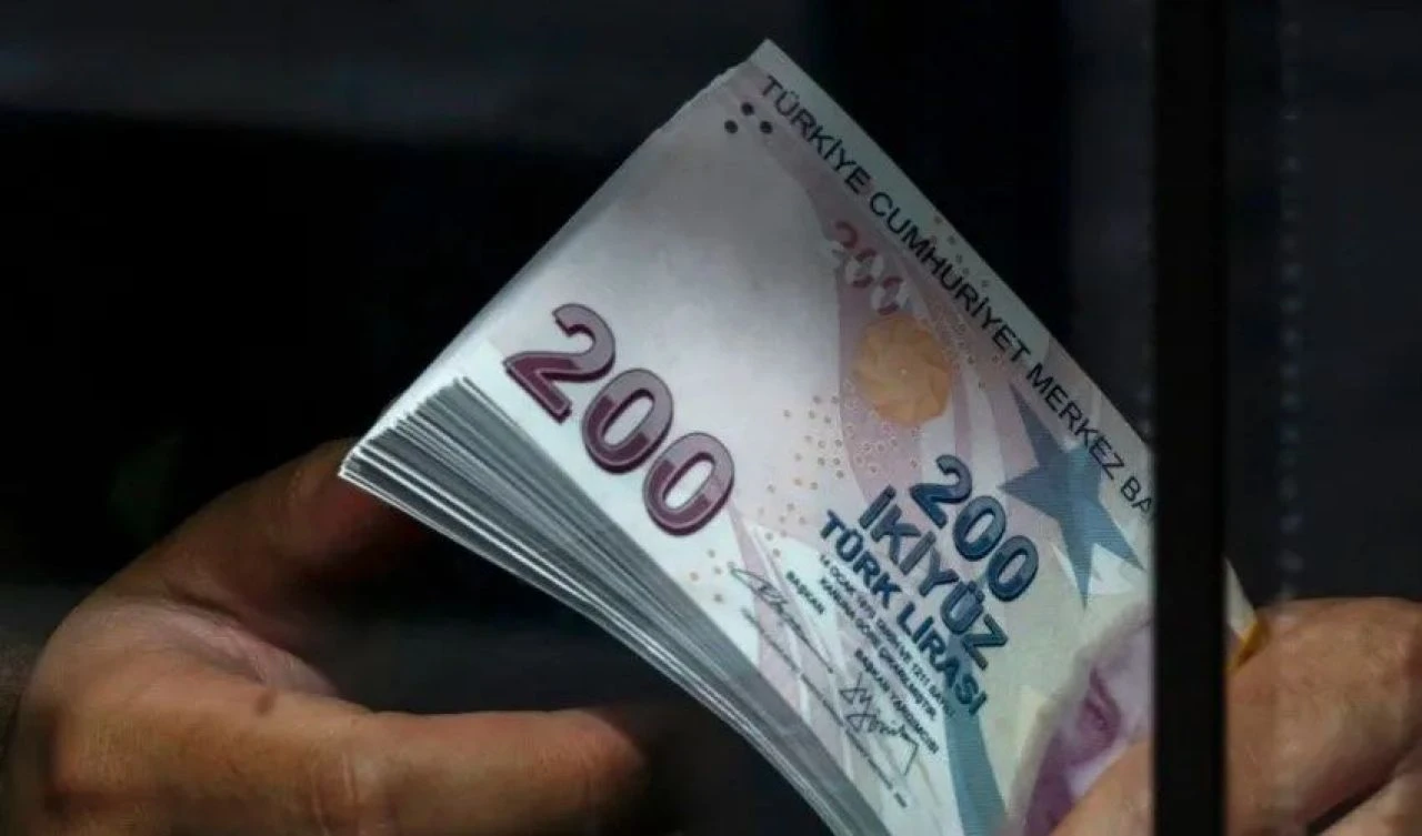 Doğum izni bir yıla çıkacak! Uzman isim hükümetin yeni planını yorumladı - 2. Resim