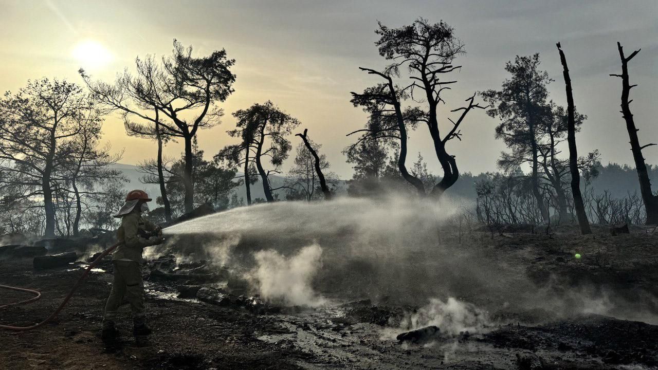 Çanakkale&#039;nin ciğerleri yandı! 680 hektar alan zarar gördü