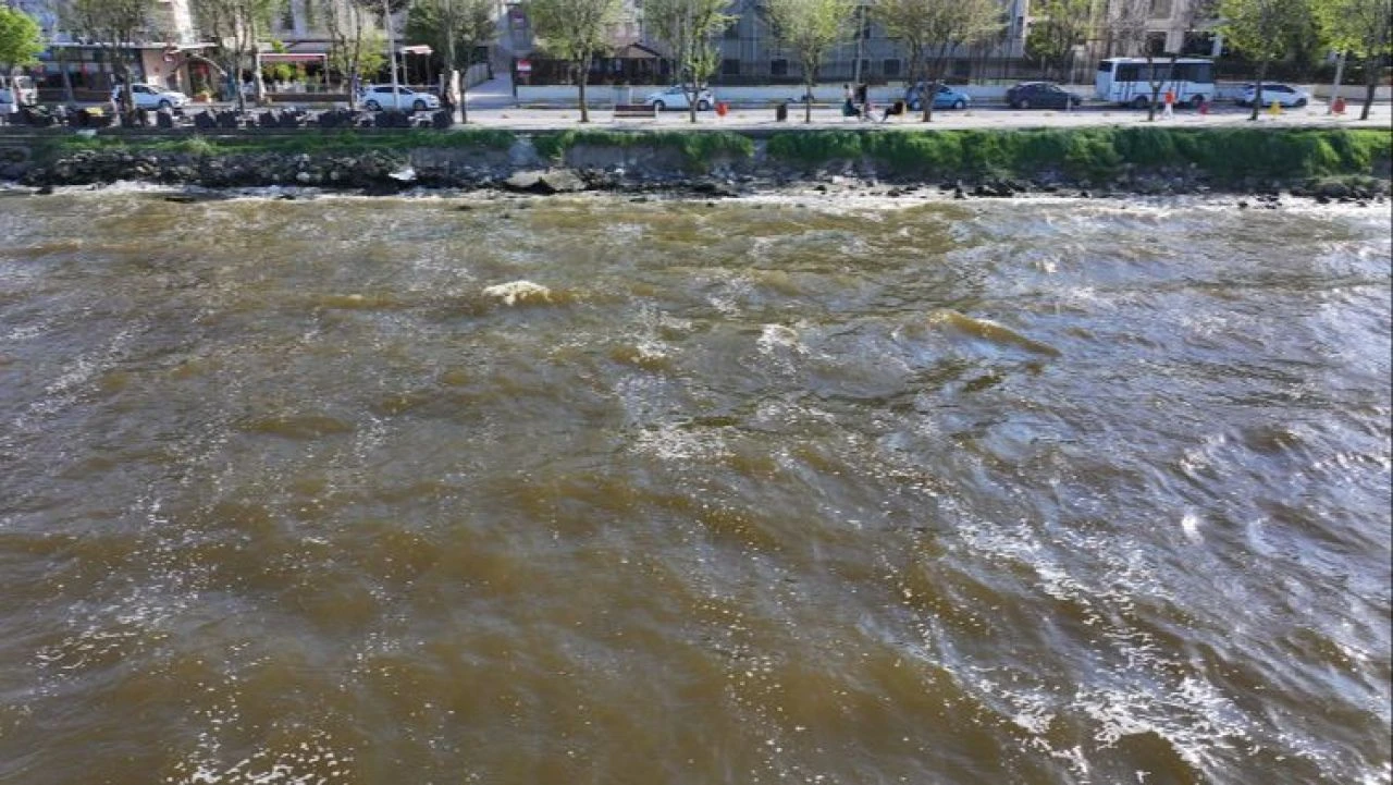 Küçükçekmece Lagünü yok oluyor! Oksijen kritik seviyede