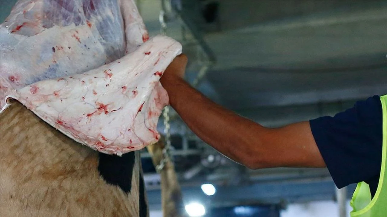 Kurban Bayramı sayesinde sakatata zam gelmeyecek! Yapanlara ceza uygulanacak - 2. Resim