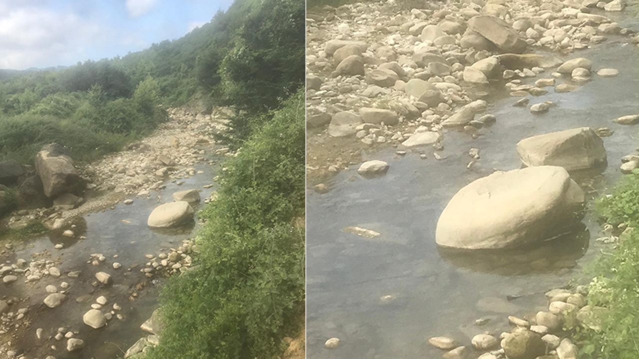 Sakarya&#039;da trajik ölüm! Eli taşa sıkışınca boğularak hayatını kaybetti