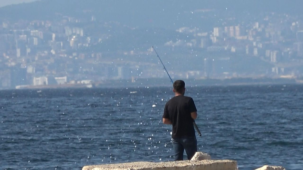 Tuttuğu balığa dokunduğu an dehşeti yaşadı! Zehirli trakonya hastanelik etti - 2. Resim