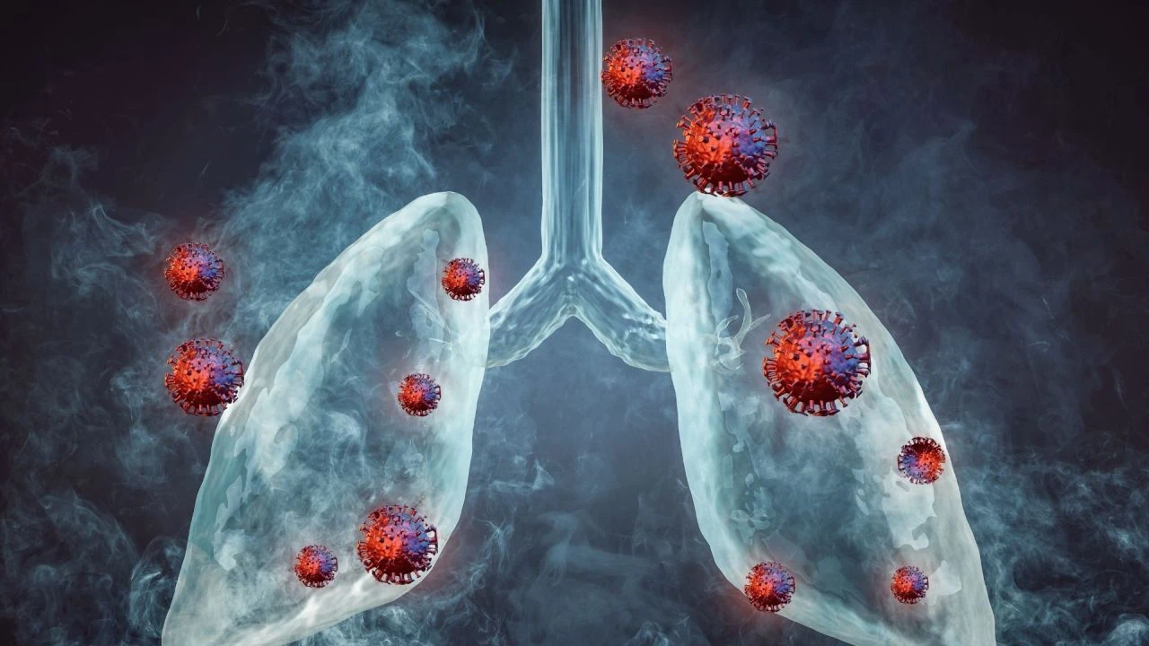 Yarasalar virüsleri artırıyor! 10 yıl içinde herkes maske ile dolaşacak - 2. Resim