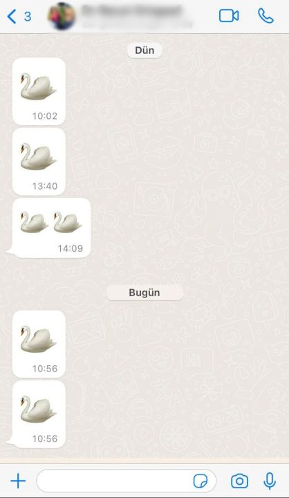 4 doktorla ilgili olay iddia: WhatsApp'taki kuğu emojileri ortaya çıkardı, soruşturma açıldı - 1. Resim